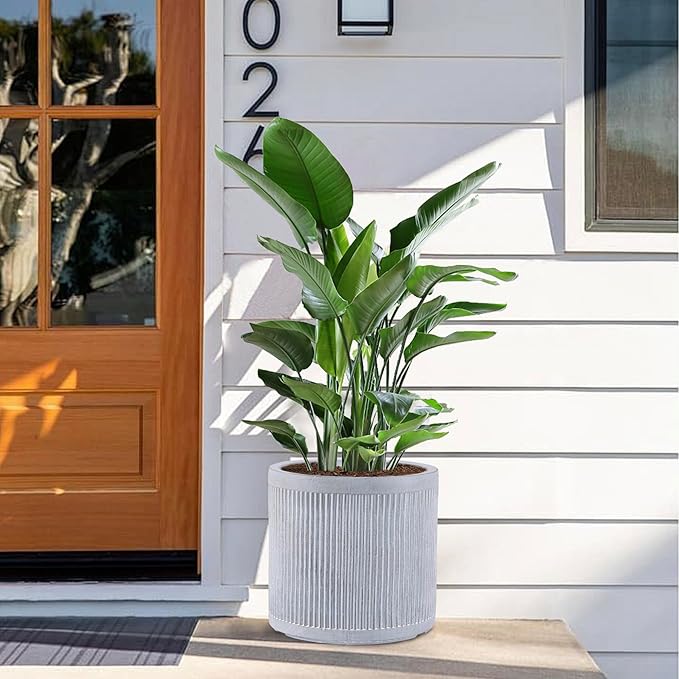 Large Plant Pots Outdoor Garden Trees Indoor Flowers, 30.5cm Round Concrete Planter Plant Containers Suitable for Big Olive Tree with Drainage Holes, Grey Vertical Texture