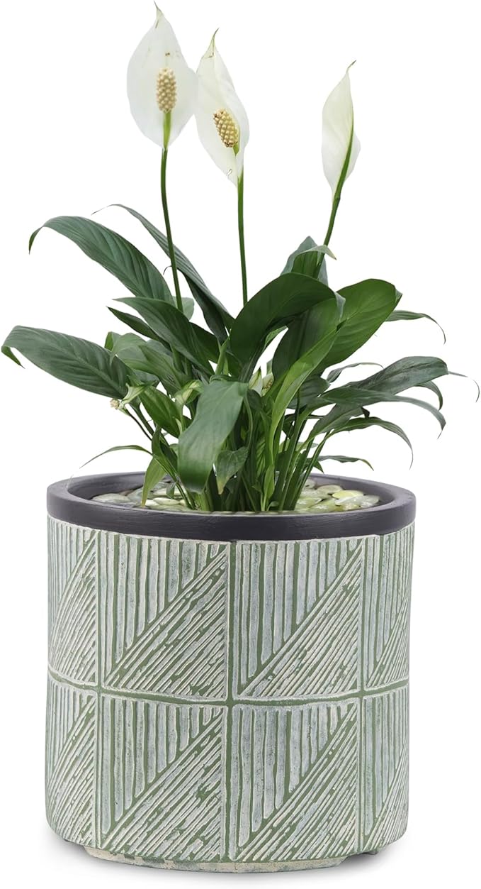 Large Plant Pots Outdoor Garden Round Flowerpots Indoor, 32cm Concrete Planter Pot for Big Olive Trees, Plant Containers with Drainage Holes, Lime Green
