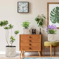 Plant Pots Outdoor Garden Round Flowerpots Indoor, 32cm Large Concrete Planter for Big Olive Trees, Plant Containers with Drainage Holes, Grey