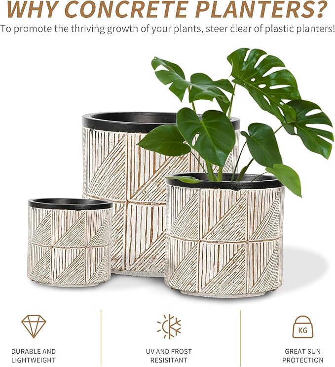 Plant Pots Outdoor Garden Round Flowerpots Indoor, 32cm Large Concrete Planter for Big Olive Trees, Plant Containers with Drainage Holes, Grey