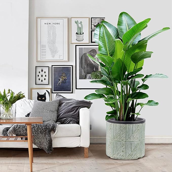 Large Plant Pots Outdoor Garden Round Flowerpots Indoor, 32cm Concrete Planter Pot for Big Olive Trees, Plant Containers with Drainage Holes, Lime Green